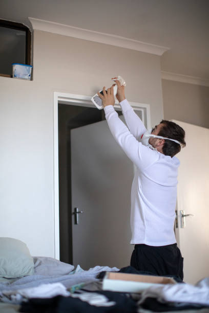 Best Comprehensive Air Testing for Mold Contaminants  in Cameron, TX