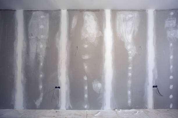 Best Mold Prevention Services  in Cameron, TX